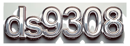ds9308 logo